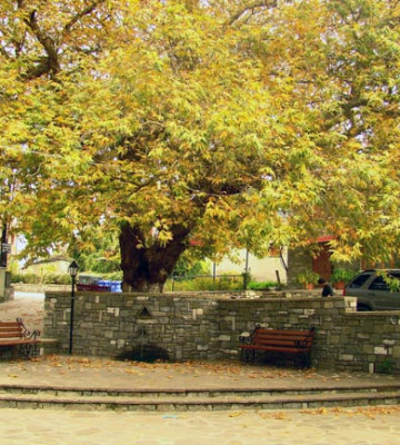 Η πλατεία του χωριού το φθινόπωρο.