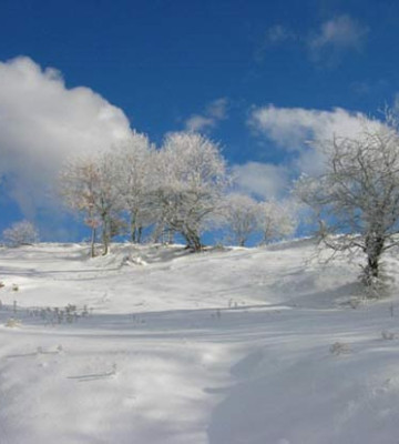 Χιονισμένο τοπίο στο Σμόλικα