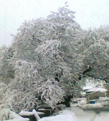 Χιόνια στο χωριό